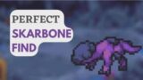 Perfect Skarbone Find!!! / Coromon