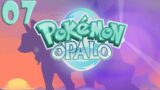 BATALHA  NO TREM! EQUIPE GATLING SEMPRE QUERENDO EXPLODIR COISAS – Pokemon Opalo – Parte 07