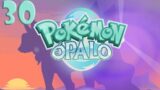 APOLO VAI TER QUE SE VER COMIGO LOGO LOGO PELO QUE TA FAZENDO COM A GALA – Pokemon Opalo – Parte 30