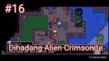 Menuju ke kota Vlamma || Coromon