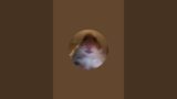 Bentar ran live coromon